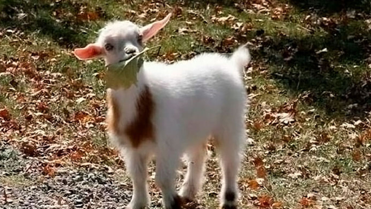 50 Memes That May Hit The Spot If You Enjoy ‘Women’s Humor’ (New Pics)