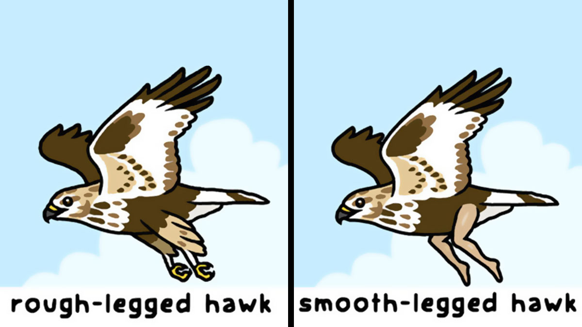 30 Playful Comics That Show The Funny Side Of Nature And Wildlife By This Artist