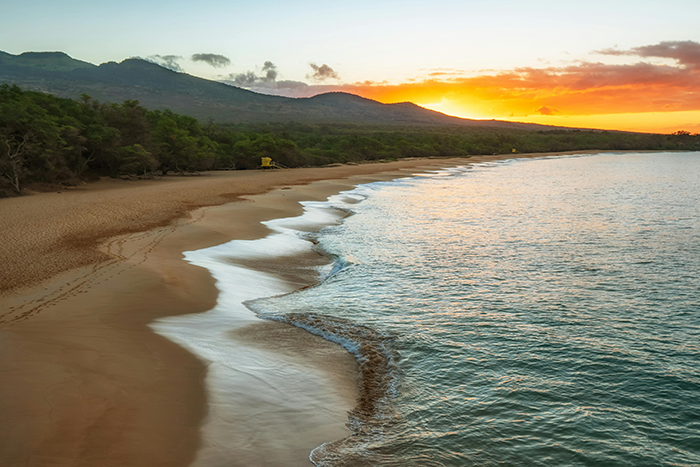 Sunset over a serene beach with gentle waves and a tree-lined shore. Sunset over a serene beach with gentle waves and a tree-lined shore.