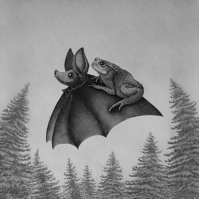 Bat carrying a toad, inspired by nature, gliding over a forest of trees, illustrating captivating imagery.