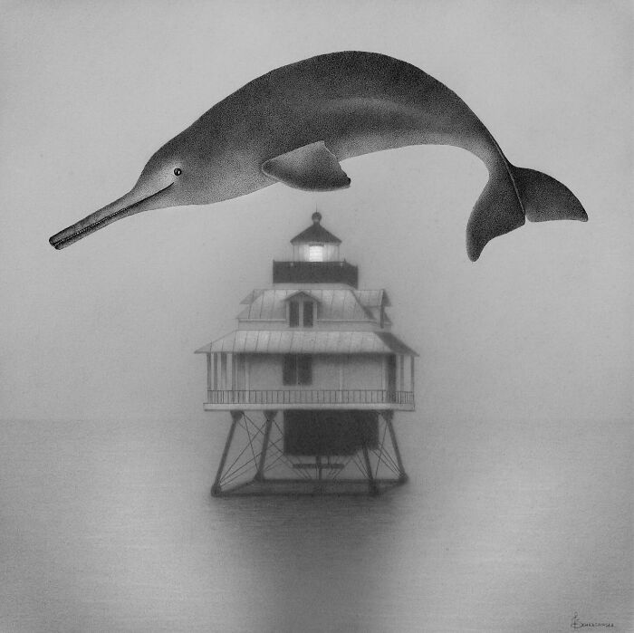 Ocean-inspired illustration featuring a dolphin with a misty house on stilts in the background.