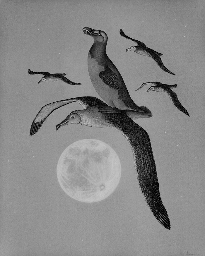 Ocean-inspired illustration featuring birds flying over a moonlit sky by artist Juliet Schreckinger.