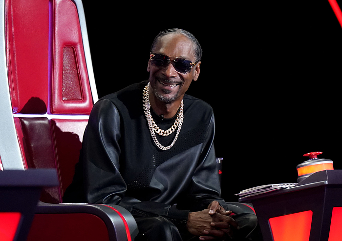Snoop Dogg smiling, wearing sunglasses and chains, sitting on a panel chair, illustrating rap royalty style. Snoop Dogg smiling, wearing sunglasses and chains, sitting on a panel chair, illustrating rap royalty style.
