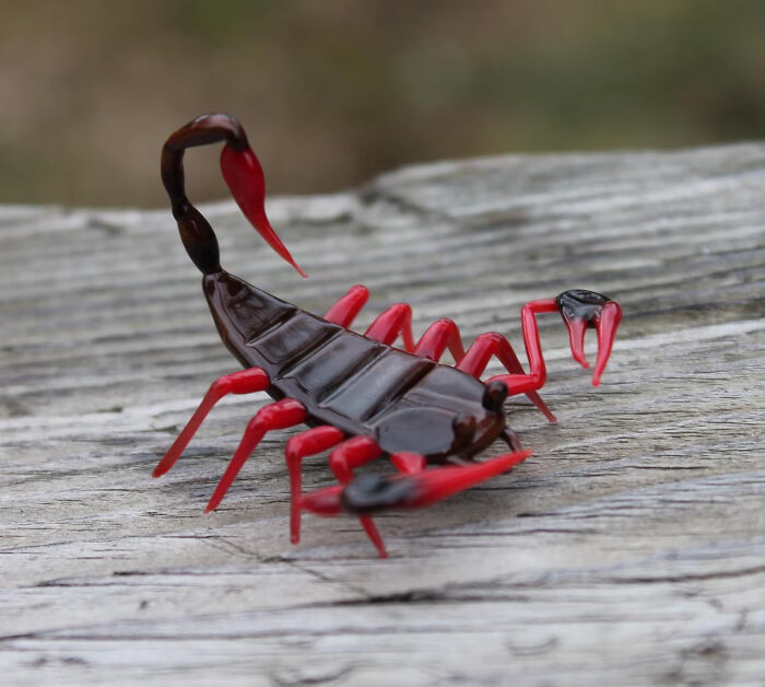 I Made Glass Scorpion Figurines That Can Be Used As Aquarium Or Terrarium Decor (6 Pics)