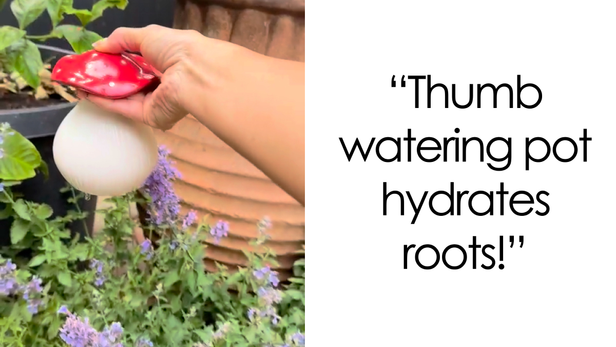 23 Plant Parent Must-Haves To Help Your Indoor Jungle Thrive