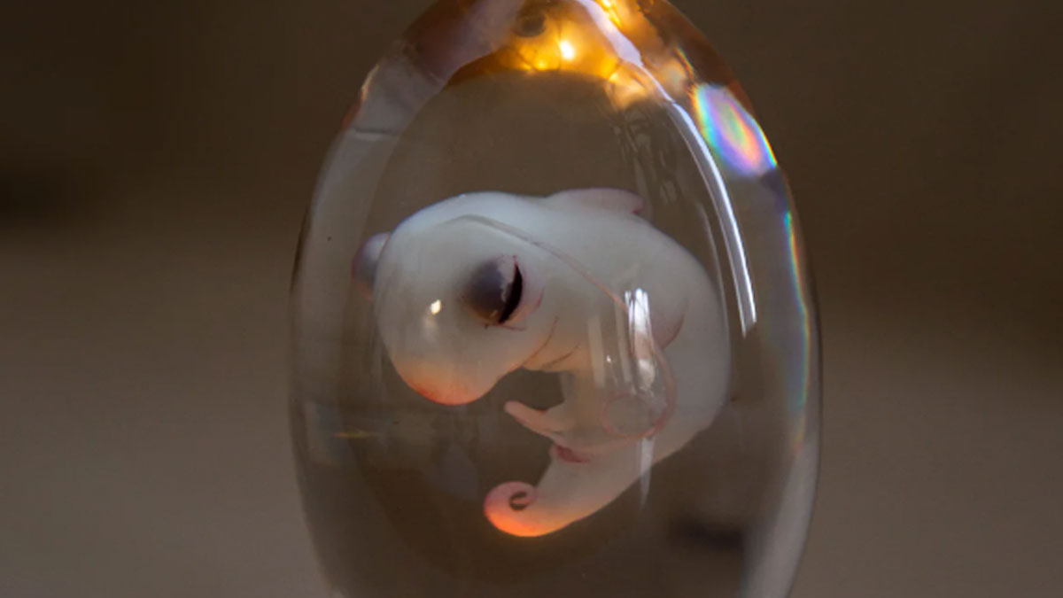 40 Creepy And Cool Things People Created With Their Own Hands