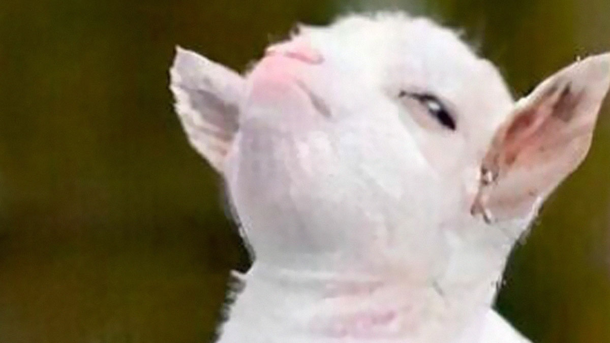 50 Funny Memes That Have Women Feeling Called Out