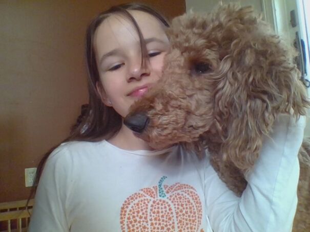 Why Do My Cats Do This To Me?😠😡🤬😭😂😺