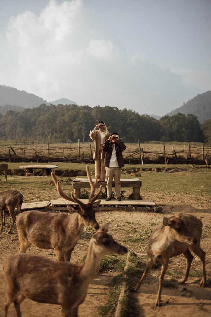Couple taking photos with deer in a scenic landscape, capturing a top engagement moment of 2025.