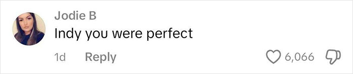 Comment saying "Indy you were perfect" with 6,066 likes related to rhinoplasty feedback. Comment saying "Indy you were perfect" with 6,066 likes related to rhinoplasty feedback.
