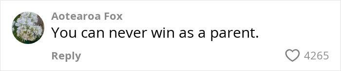 Comment on parenting challenges, highlighting fragility, with 4265 likes from Aotearoa Fox. Comment on parenting challenges, highlighting fragility, with 4265 likes from Aotearoa Fox.