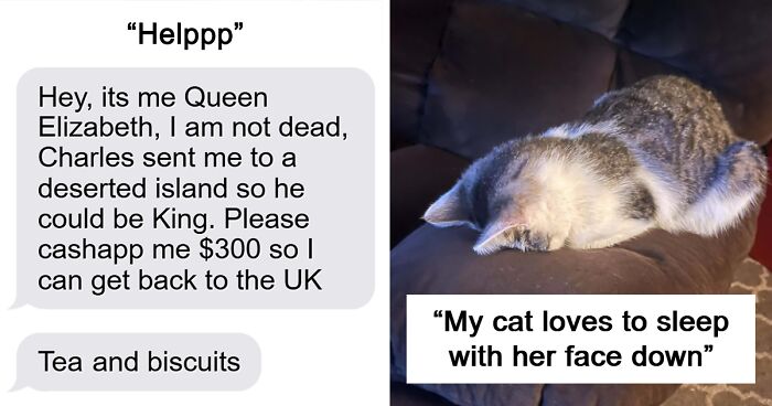 “I Finished A Pen”: 50 Things That Are Not Interesting, Like, At All (New Pics)