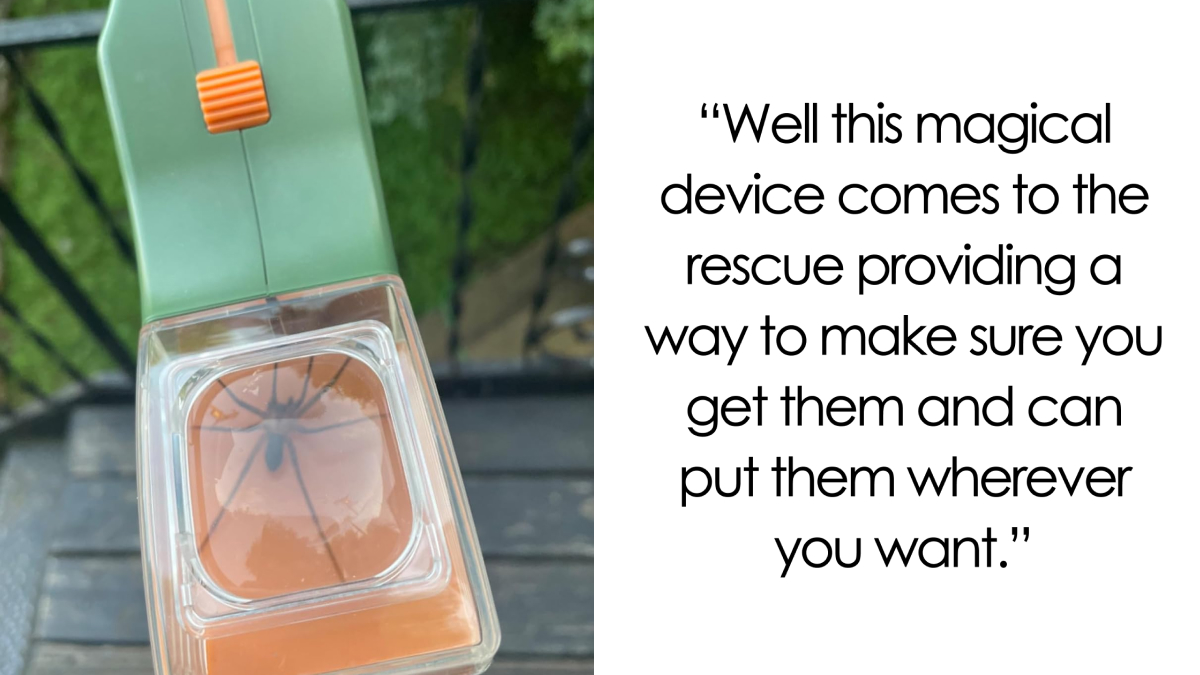 They Had One Job And Nailed It: 23 Specialized Finds Worth The Space