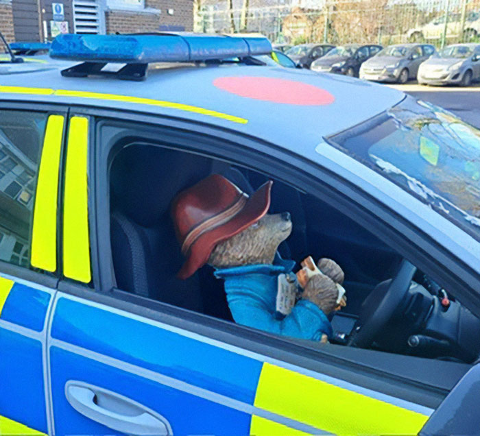Paddington Bear statue in a police car, related to drunk military personnel incident. Paddington Bear statue in a police car, related to drunk military personnel incident.