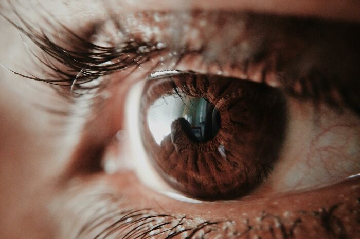 Close-up of a brown eye capturing detail, illustrating misconceptions in human perception with intricate reflections.