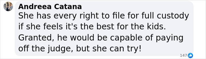Andreea Catana's comment regarding custody rights in a social media discussion. Andreea Catana's comment regarding custody rights in a social media discussion.