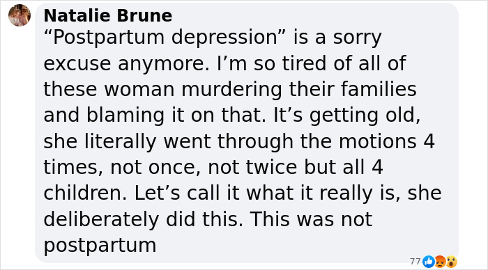 Text comment discussing postpartum depression and criticizing a mother for her actions. Text comment discussing postpartum depression and criticizing a mother for her actions.
