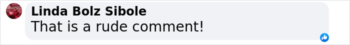 Screenshot of a social media comment saying, "That is a rude comment! Screenshot of a social media comment saying, "That is a rude comment!