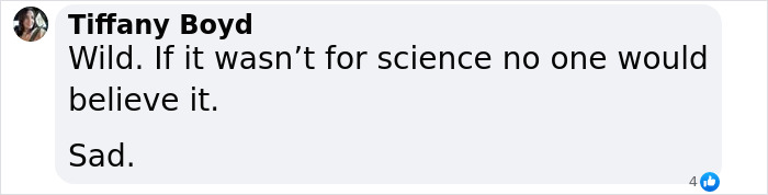 Text comment expressing disbelief about a scientific finding related to a rat autopsy. Text comment expressing disbelief about a scientific finding related to a rat autopsy.