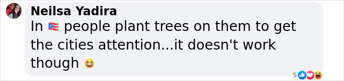 Text message about planting trees in potholes to attract city attention, using humor. Text message about planting trees in potholes to attract city attention, using humor.
