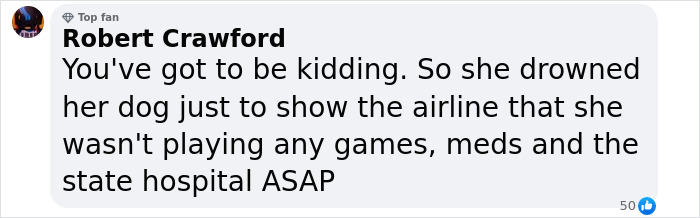 Comment criticizing a woman's cruel action towards her dog after airline boarding denial. Comment criticizing a woman's cruel action towards her dog after airline boarding denial.