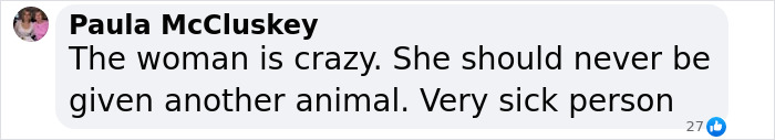 Comment reacting to incident involving denied boarding with a dog. Comment reacting to incident involving denied boarding with a dog.