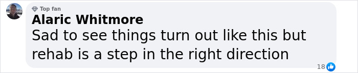 Comment expressing sadness and hope about Taylor Swift's godson's situation, mentions rehab as positive. Comment expressing sadness and hope about Taylor Swift's godson's situation, mentions rehab as positive.