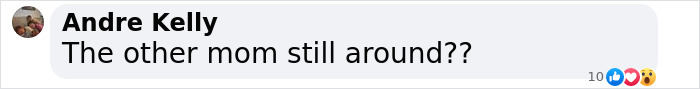 Comment questioning "the other mom" with reactions displayed below. Comment questioning "the other mom" with reactions displayed below.