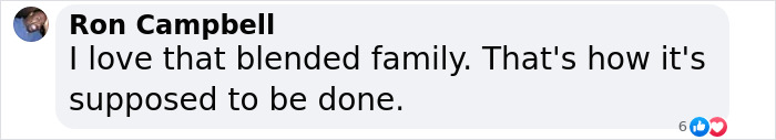 Comment praising a blended family, expressing admiration. Comment praising a blended family, expressing admiration.