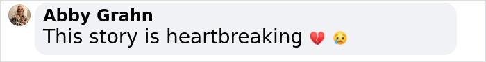Comment by Abby Grahn expressing heartbreak over a story labeled as "pure evil" with emojis. Comment by Abby Grahn expressing heartbreak over a story labeled as "pure evil" with emojis.