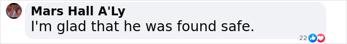 Facebook comment about the abducted boy from Netflix 'Unsolved Mysteries' being found safe. Facebook comment about the abducted boy from Netflix 'Unsolved Mysteries' being found safe.