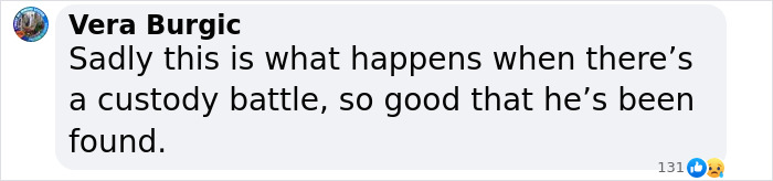Comment by Vera Burgic: "Sadly this is what happens when there’s a custody battle... good that he’s been found," about abducted boy. Comment by Vera Burgic: "Sadly this is what happens when there’s a custody battle... good that he’s been found," about abducted boy.