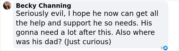 Comment discussing the imprisonment and escape of a stepson, mentioning "seriously evil" actions. Comment discussing the imprisonment and escape of a stepson, mentioning "seriously evil" actions.