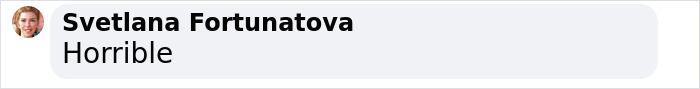 Comment from Svetlana Fortunatova saying "Horrible" regarding police model claims. Comment from Svetlana Fortunatova saying "Horrible" regarding police model claims.