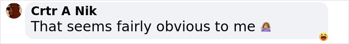 Comment text saying, "That seems fairly obvious to me," with shrug emoji. Comment text saying, "That seems fairly obvious to me," with shrug emoji.