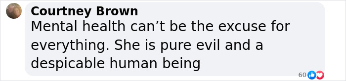 Comment on social media post discussing "monster" mom incident and mental health issues. Comment on social media post discussing "monster" mom incident and mental health issues.