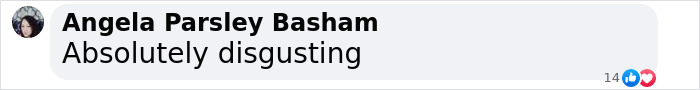Comment by Angela Parsley Basham saying 'Absolutely disgusting' related to disgraced actor scandal. Comment by Angela Parsley Basham saying 'Absolutely disgusting' related to disgraced actor scandal.
