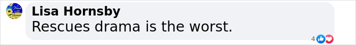 Comment by Lisa Hornsby on dog rescue drama, highlighting complaints. Comment by Lisa Hornsby on dog rescue drama, highlighting complaints.