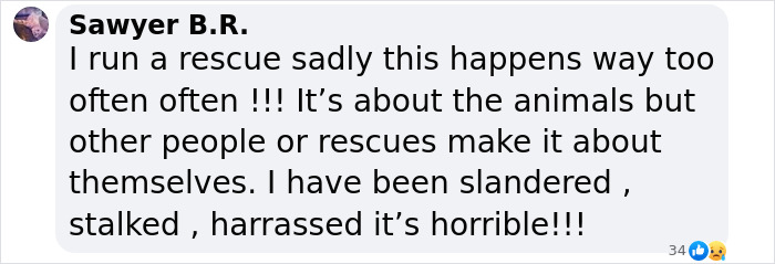 Text exchange about dog rescue challenges and slander issues, related to Katherine Heigl's lawsuit. Text exchange about dog rescue challenges and slander issues, related to Katherine Heigl's lawsuit.