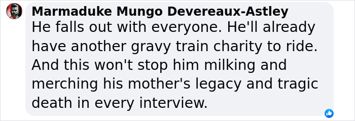 Text comment on Prince Harry quitting charity amid accusations. Text comment on Prince Harry quitting charity amid accusations.