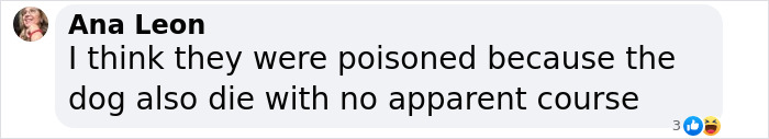 Comment by Ana Leon on poisoning theory related to "Broken Heart-Type Thing. Comment by Ana Leon on poisoning theory related to "Broken Heart-Type Thing.