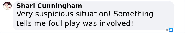Comment by Shari Cunningham questioning the theory on passing of Gene Hackman and wife, suggesting foul play involved. Comment by Shari Cunningham questioning the theory on passing of Gene Hackman and wife, suggesting foul play involved.