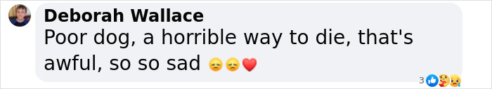 Comment expressing sadness with emojis on a tragic event, mentioning a dog. Comment expressing sadness with emojis on a tragic event, mentioning a dog.