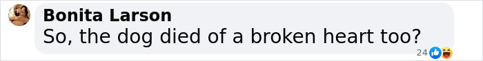 Comment asking if the dog died of a broken heart. Comment asking if the dog died of a broken heart.
