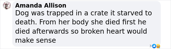 Text message about a dog dying from starvation, suggesting a theory of a broken heart. Text message about a dog dying from starvation, suggesting a theory of a broken heart.