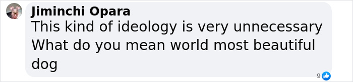Text in an online comment questioning the concept of "most beautiful dog in the world. Text in an online comment questioning the concept of "most beautiful dog in the world.