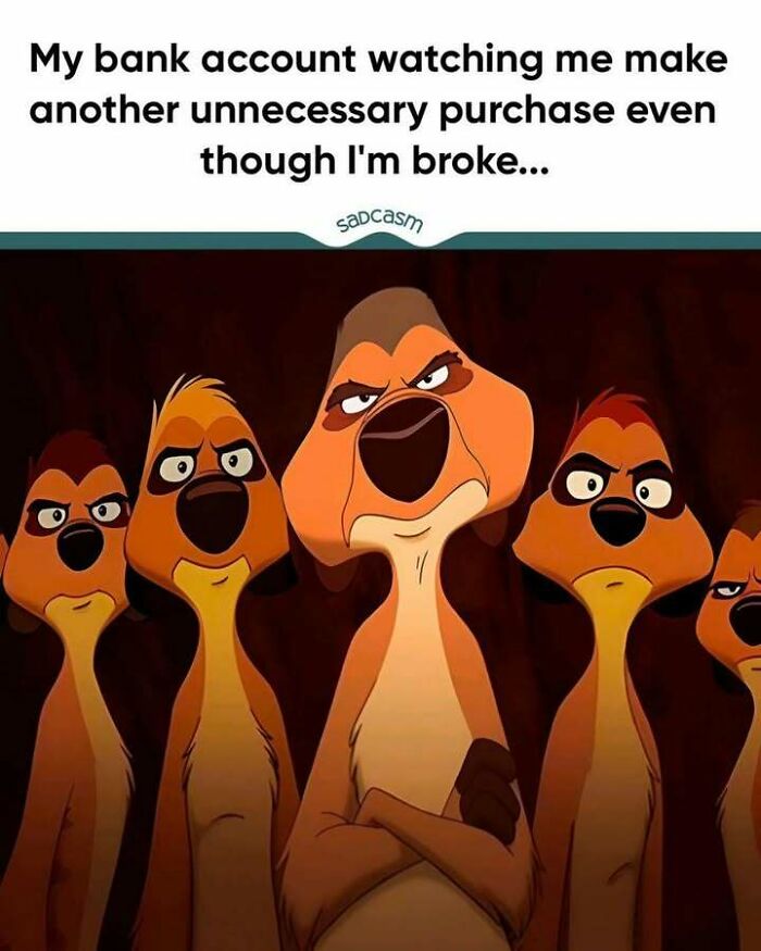 Meerkats with judging looks in a sadcastic meme about unnecessary spending.