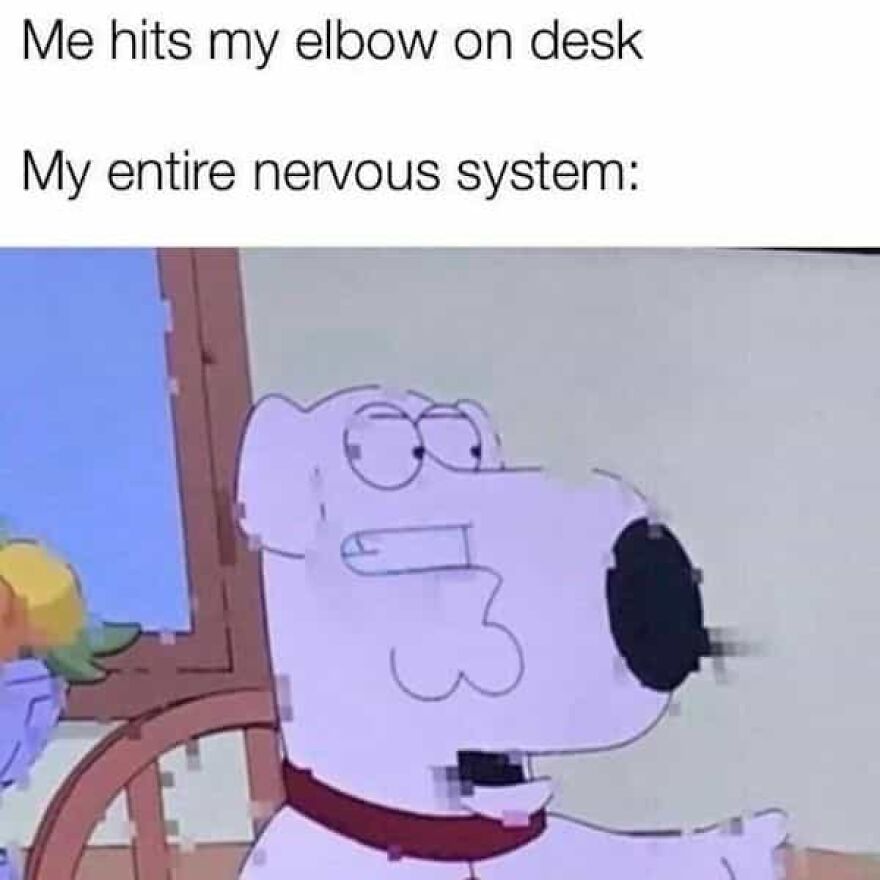 Cartoon dog with a pained expression, captioned "Me hits my elbow on desk. My entire nervous system." Hilarious meme.