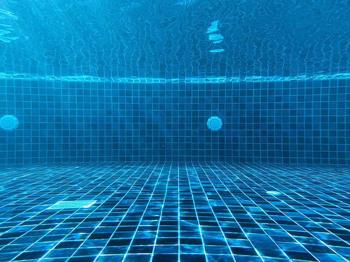 Blue tiled swimming pool underwater view, highlighting homeowner's excitement and unexpected visitor scenario. Blue tiled swimming pool underwater view, highlighting homeowner's excitement and unexpected visitor scenario.