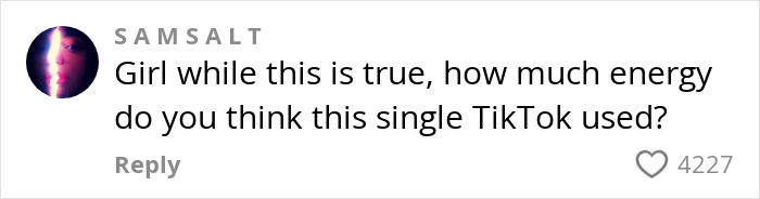 Comment questioning AI energy use impact on TikTok with 4227 likes. Comment questioning AI energy use impact on TikTok with 4227 likes.